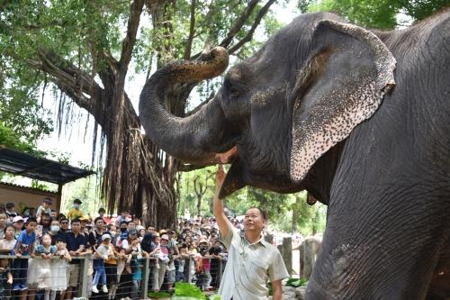 五一假期首日，深圳野生動(dòng)物園動(dòng)物科普講解吸引游客