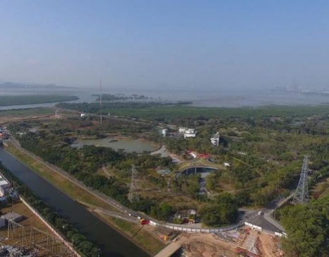 “我與福田紅樹(shù)林生態(tài)公園共成長(zhǎng)”照片征集活動(dòng)